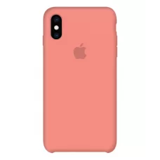 Силиконовый чехол Apple Silicone Case Begonia Red для iPhone Х/Xs